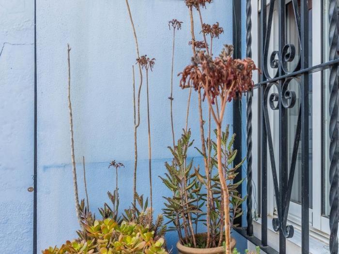 Apartamento Susillo Vacacional Sevilla Kültér fotó